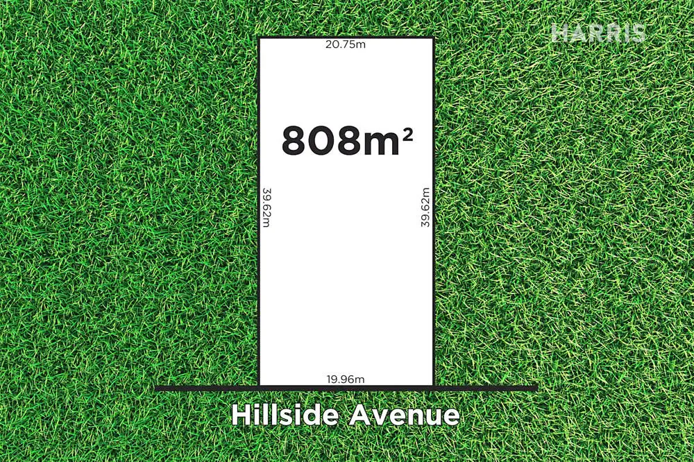 Main view of Homely house listing, 31 Hillside  Avenue, Highbury SA 5089