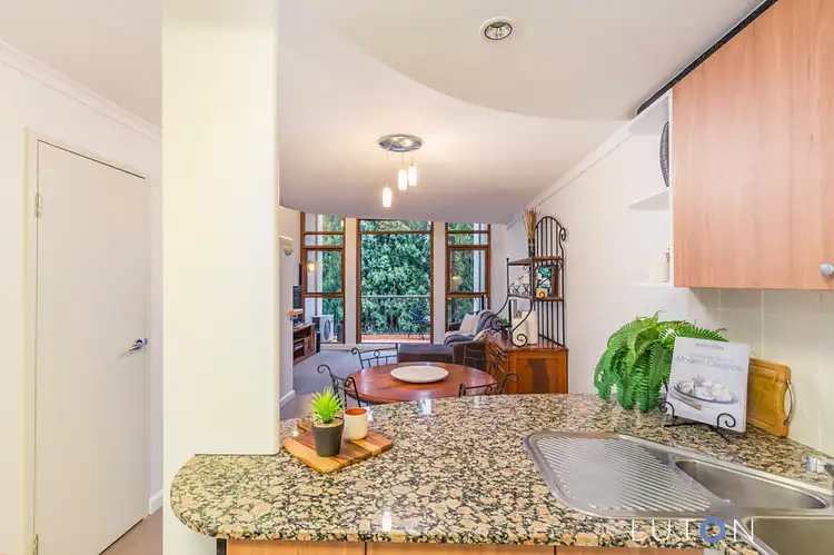 Third view of Homely apartment listing, 40/18 Captain Cook Crescent, Griffith ACT 2603