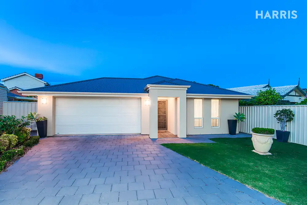 Main view of Homely house listing, 37 Fisk Avenue, Glengowrie SA 5044