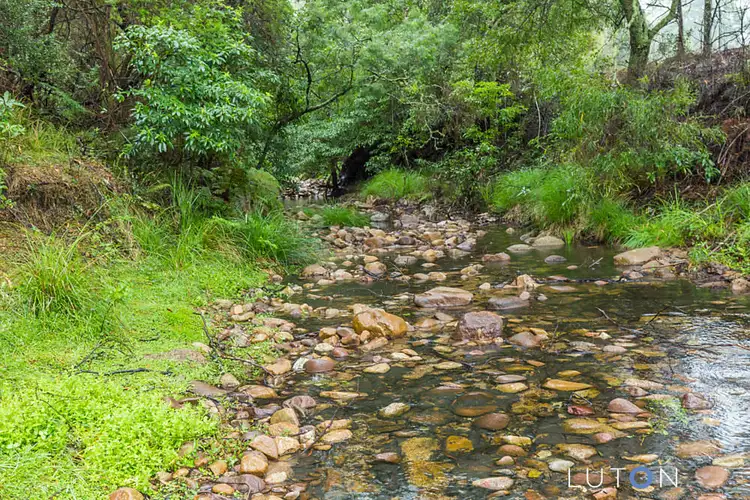 Fourth view of Homely rural property listing, 724 Yankees Gap Road, Bemboka NSW 2550