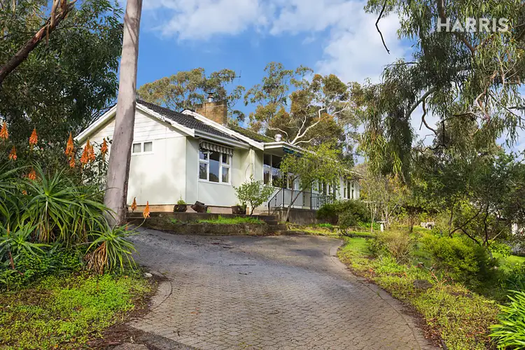 21 McNamara Road, Coromandel Valley SA 5051