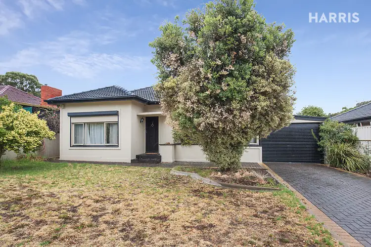 14 Albert Avenue, Tranmere SA 5073