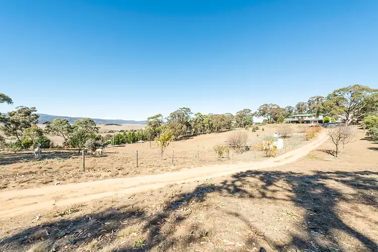 Second view of Homely rural property listing, 39 Mount Livingstone Road, Michelago NSW 2620