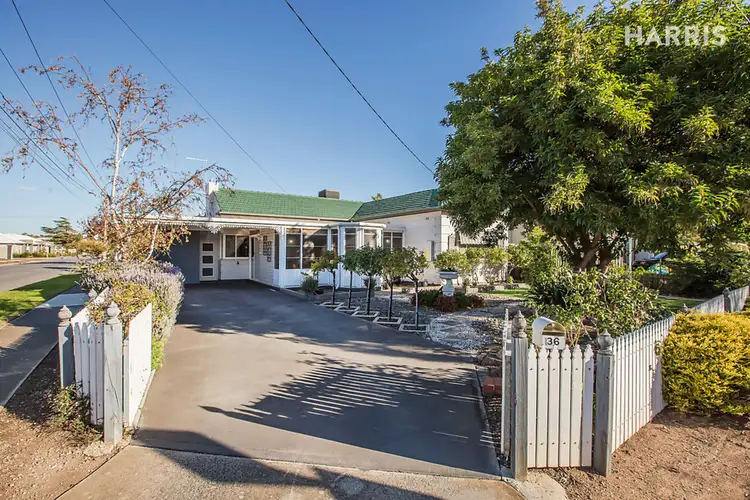 Main view of Homely house listing, 36 Harding Street, Glengowrie SA 5044