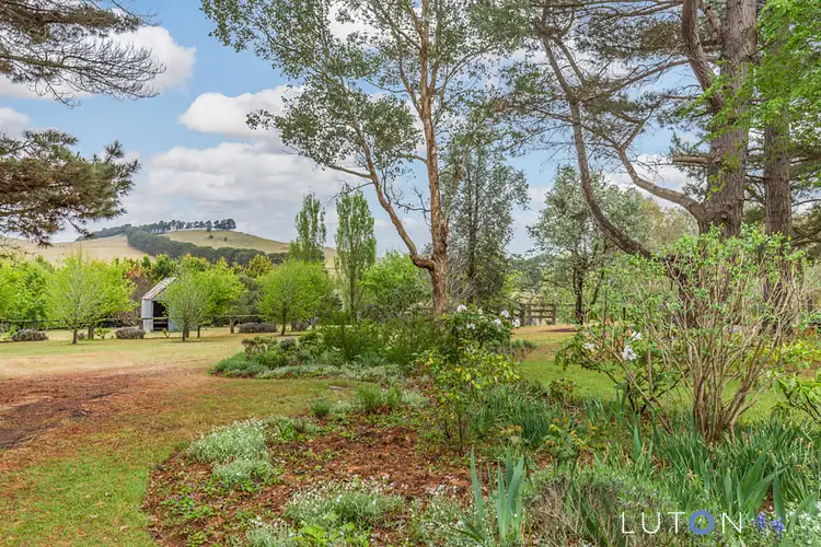 Fourth view of Homely house listing, 230 Bombay Road, Braidwood NSW 2622