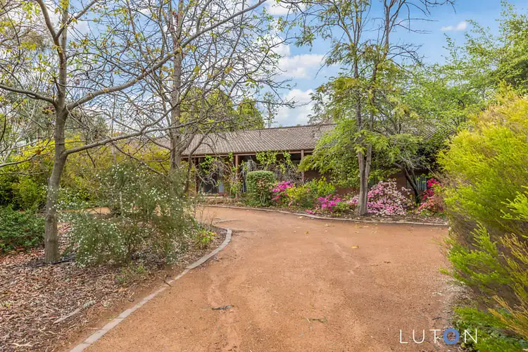 Second view of Homely house listing, 35 Mawson Drive, Mawson ACT 2607