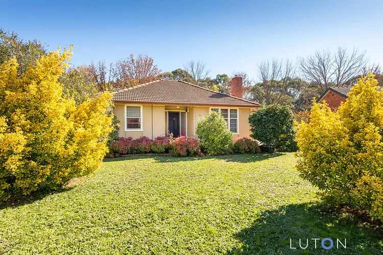 Fifth view of Homely house listing, 31 Berrigan Crescent, O'connor ACT 2602