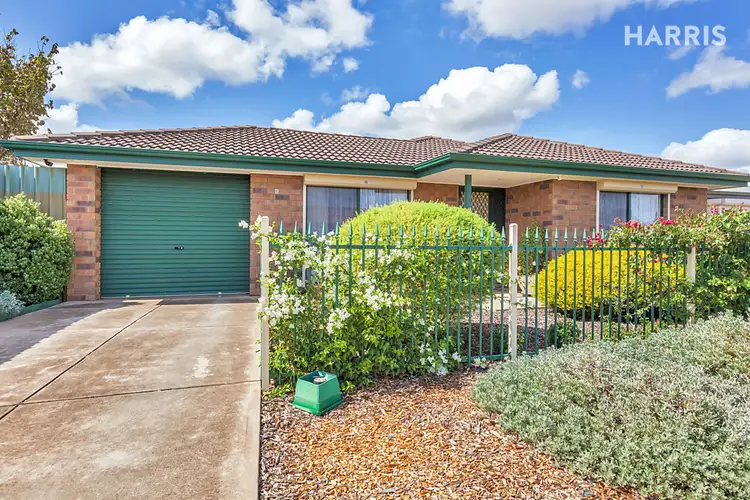 5 Riddoch Drive, Andrews Farm SA 5114