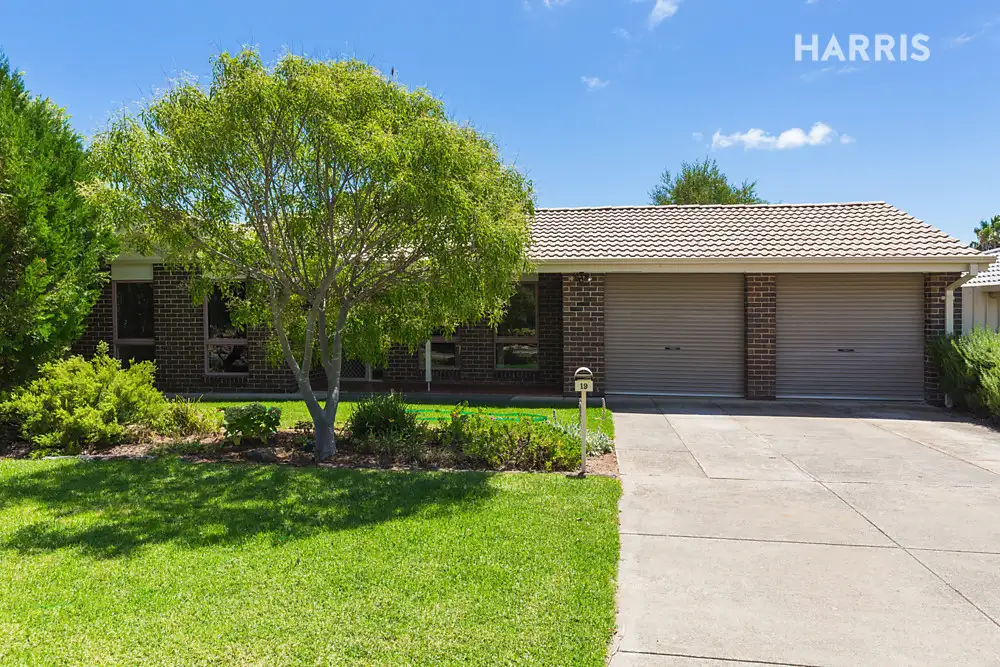 Main view of Homely house listing, 19 Tina Way, Morphett Vale SA 5162