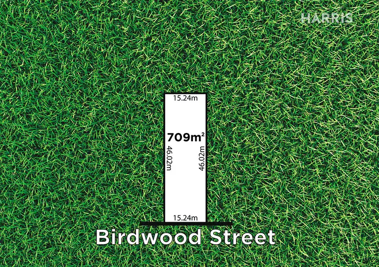 29 Birdwood Street, Netherby SA 5062