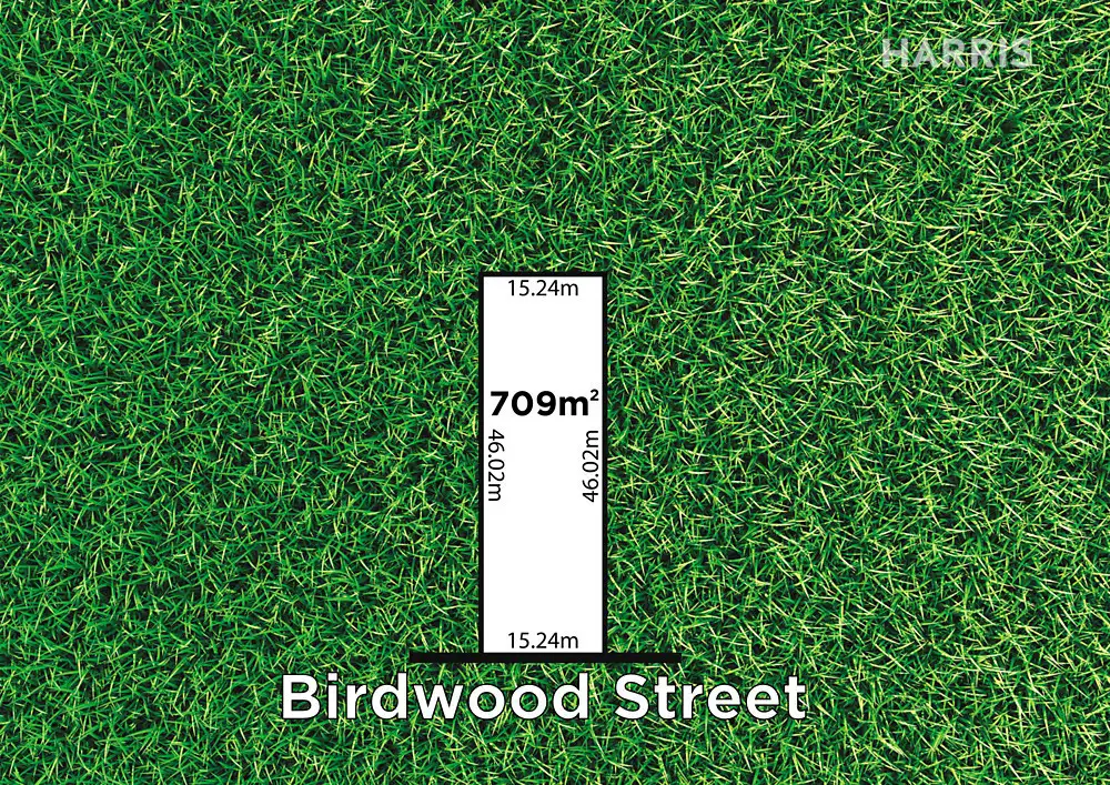 Main view of Homely house listing, 29 Birdwood Street, Netherby SA 5062