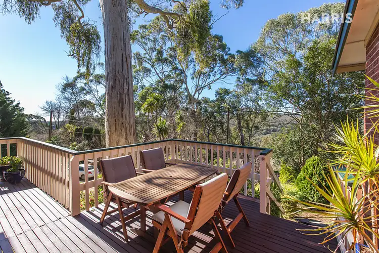 Second view of Homely house listing, 61 Teringie Drive, Teringie SA 5072