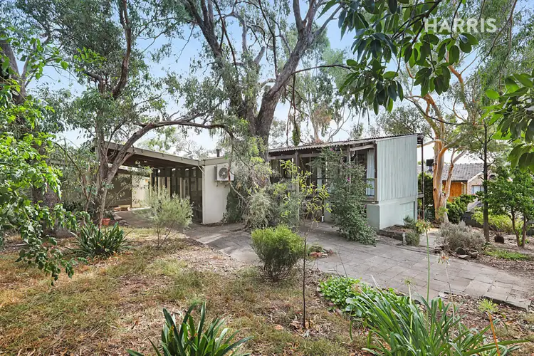 55 Braemar Road, Torrens Park SA 5062