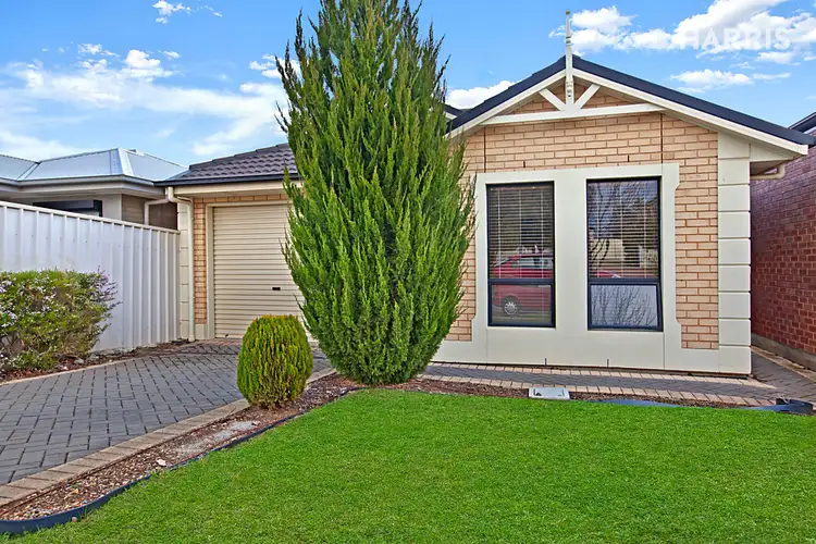 33 Dumfries Avenue, Northgate SA 5085