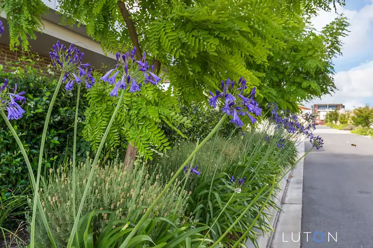 Third view of Homely apartment listing, 14/101 Kinloch Circuit, Bruce ACT 2617