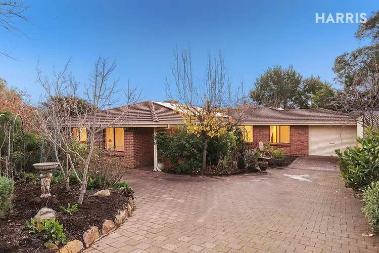 19 Gwendoline Court, Coromandel Valley SA 5051