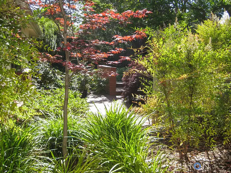 Third view of Homely house listing, 8 Endeavour Street, Red Hill ACT 2603