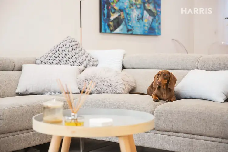 Fourth view of Homely house listing, 50 Alfred Street, Adelaide SA 5000