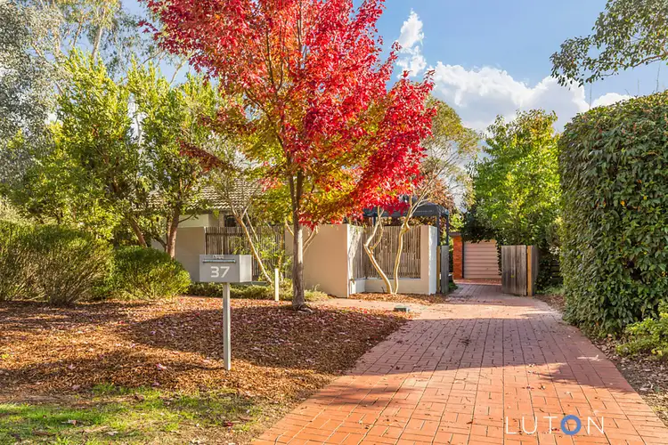 37 Williams Street, Watson ACT 2602