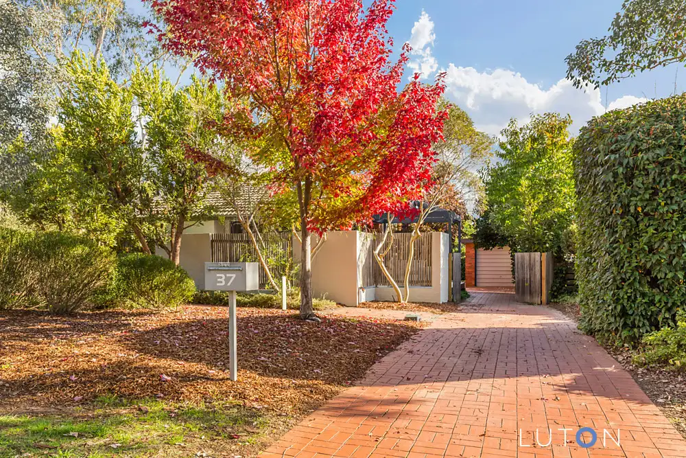 Main view of Homely house listing, 37 Williams Street, Watson ACT 2602