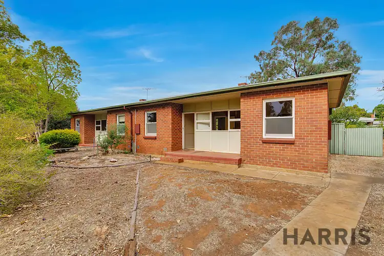 Second view of Homely house listing, 20 & 22 Flower Street, Elizabeth Downs SA 5113
