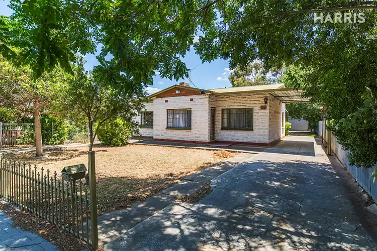 84 Kingston Avenue, Daw Park SA 5041