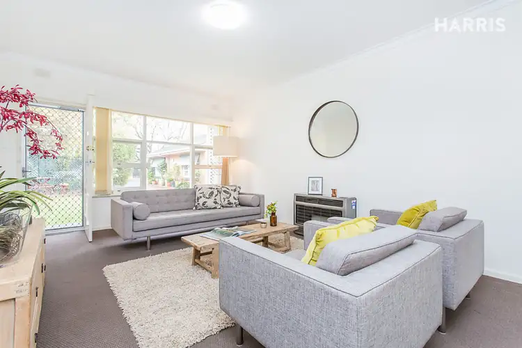 Main view of Homely unit listing, 6/180 Fisher Street, Malvern SA 5061