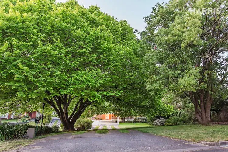 Second view of Homely house listing, 19 Bermuda Way, Glenalta SA 5052