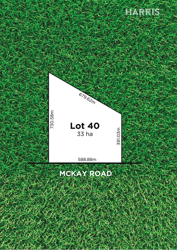 Main view of Homely land listing, Lot 40 McKay Road, Blanchetown SA 5357
