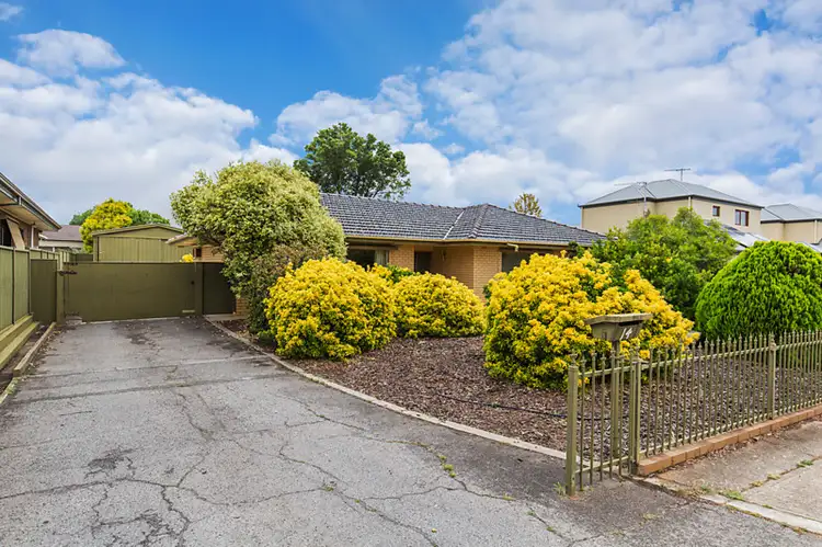 Main view of Homely house listing, 14 Hallett Avenue, Tranmere SA 5073