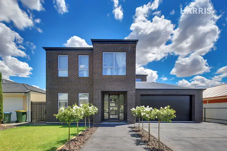 18 Borrillo Avenue, Newton SA 5074