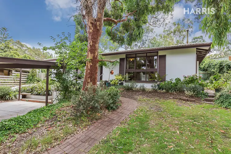 Main view of Homely house listing, 16 Colorado Drive, Glenalta SA 5052