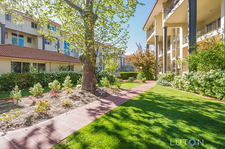 157/81 Kennedy Street, Kingston ACT 2604