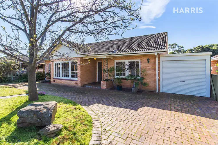 Main view of Homely house listing, 11 Lynne Court, Marion SA 5043