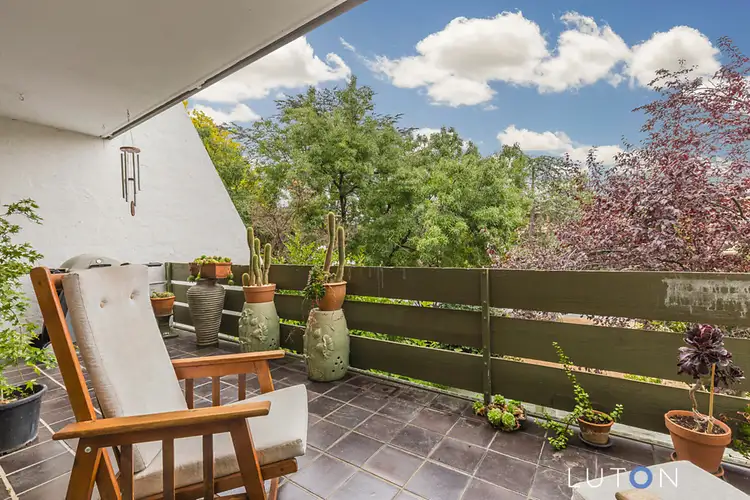 Second view of Homely apartment listing, 21/8 Giles Street, Griffith ACT 2603