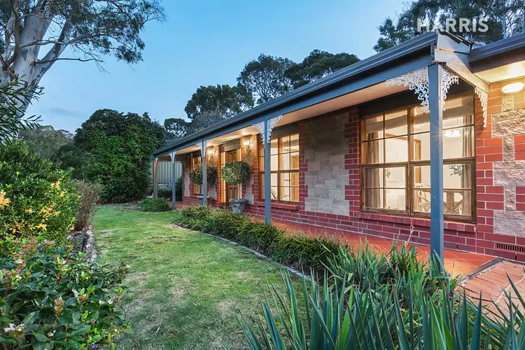 16 McKenzie Street, Coromandel Valley SA 5051
