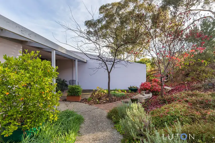 Second view of Homely townhouse listing, 3/146 Shackleton Circuit, Mawson ACT 2607