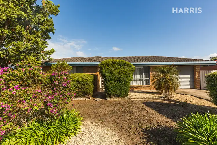 Main view of Homely house listing, 26 Gardenia Crescent, Morphett Vale SA 5162