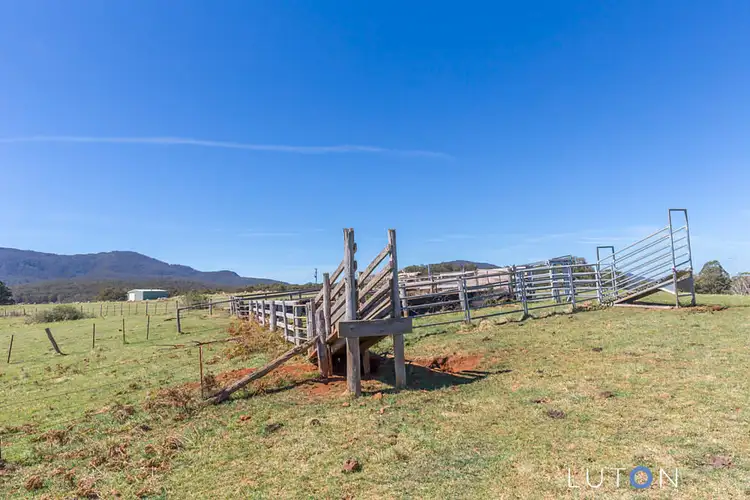 Seventh view of Homely rural property listing, 884 Charleys Forest Road, Braidwood NSW 2622