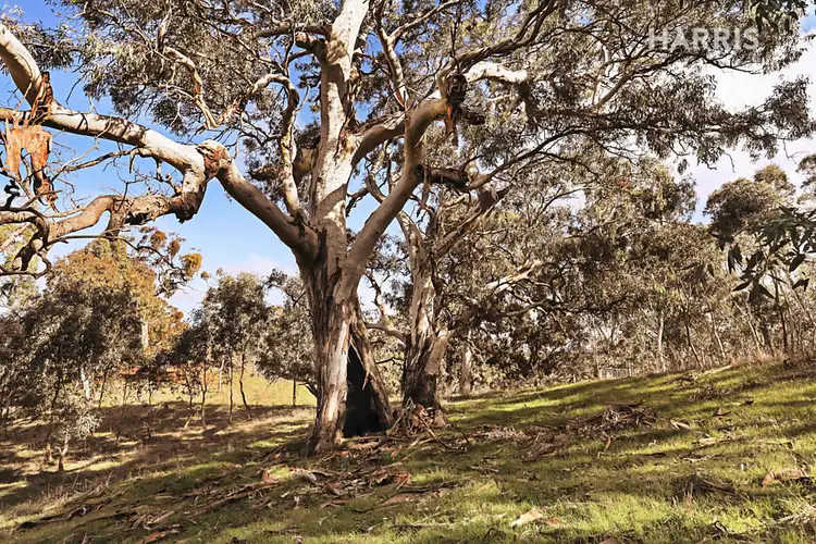 Seventh view of Homely land listing, 260 Archer Hill Road, Highland Valley SA 5255