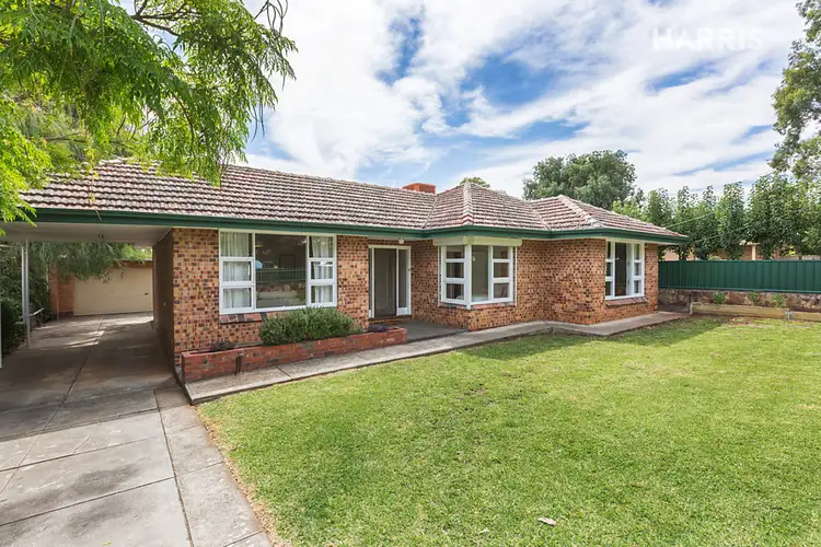 13 Giles Street, Magill SA 5072