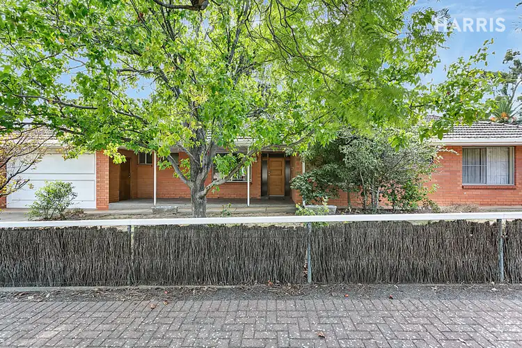 53 Stanley Street, Leabrook SA 5068