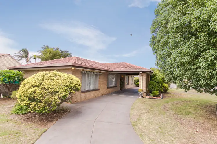 49 Lutana Crescent, Mitchell Park SA 5043