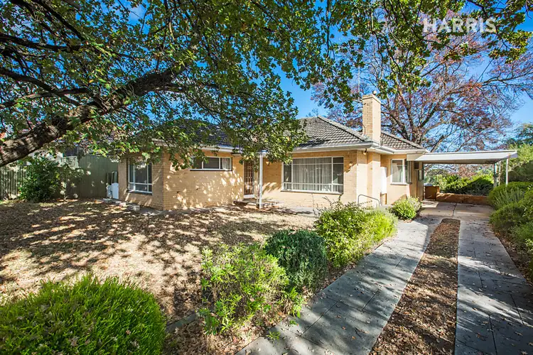 Main view of Homely house listing, 11 Warrego Crescent, Linden Park SA 5065