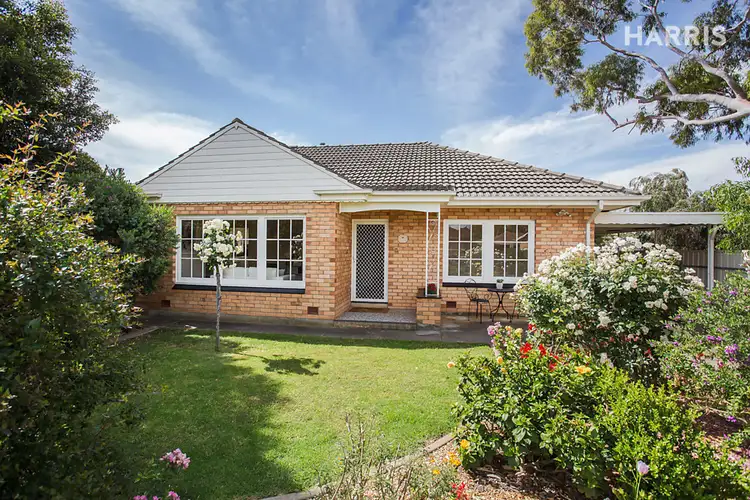 Main view of Homely house listing, 14 Tilley Court, Marion SA 5043