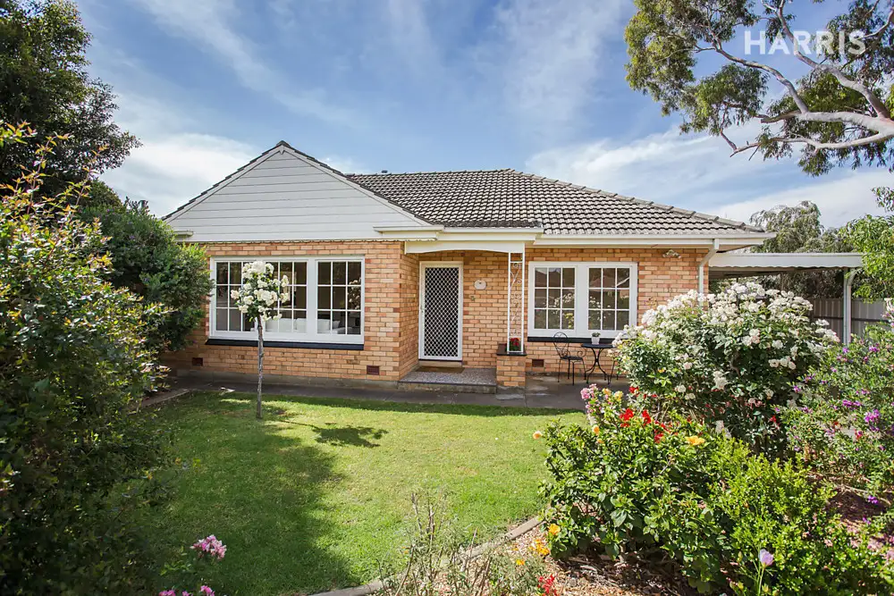 Main view of Homely house listing, 14 Tilley Court, Marion SA 5043