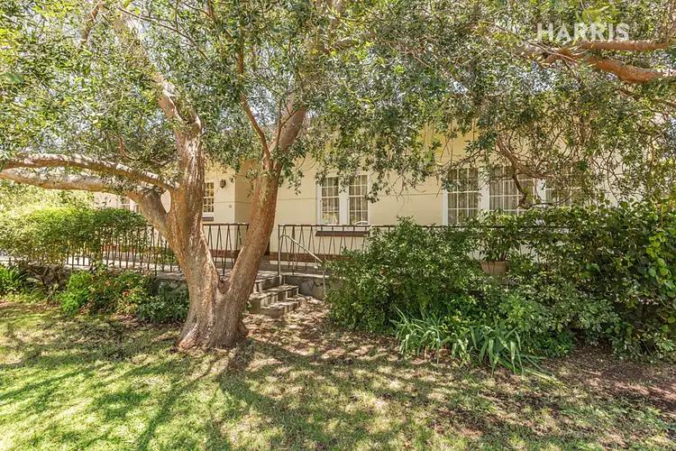12 Tennant Street, Torrens Park SA 5062