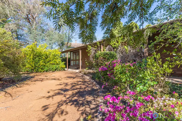 Third view of Homely house listing, 35 Mawson Drive, Mawson ACT 2607