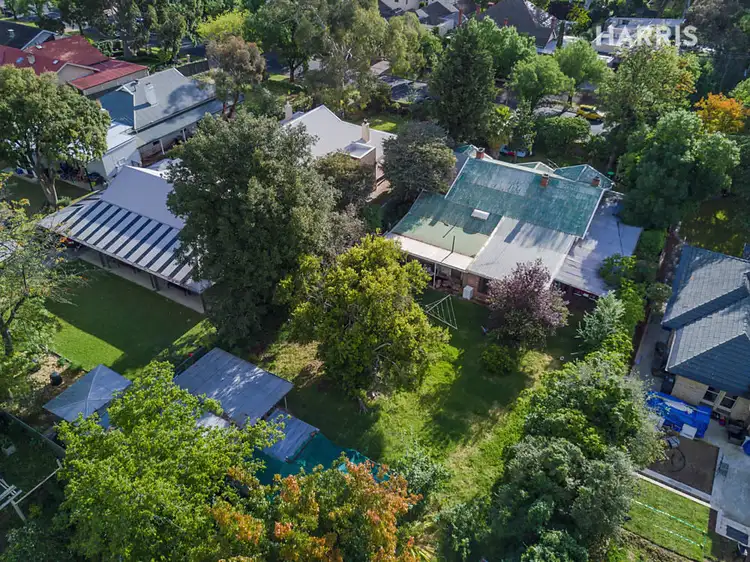 Third view of Homely house listing, 80 Tusmore Avenue, Tusmore SA 5065