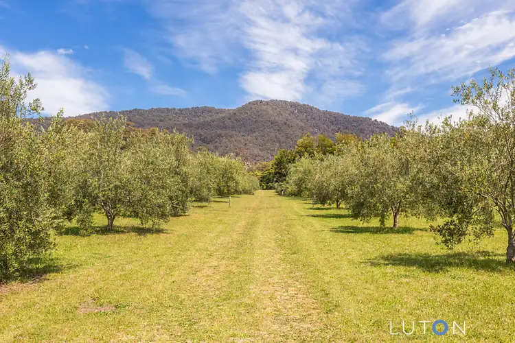 1060 Furners  Road, Bemboka NSW 2550